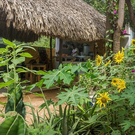 Hostel Hipilandia Таганга Экстерьер фото