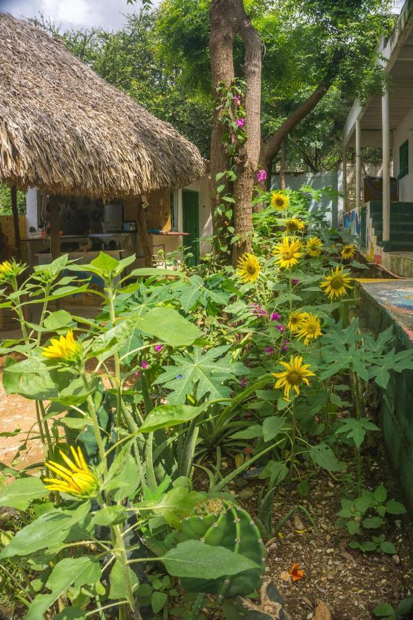 Hostel Hipilandia Таганга Экстерьер фото